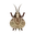 Insect Suzu
