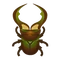 Insect hosoaka