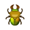 Insect nijikwa