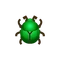 Fruit Beetle