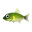 Fish Ayu