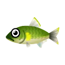 Fish Ayu