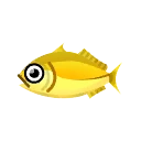Fish aji1stanniv