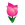 Pink Tulips.png