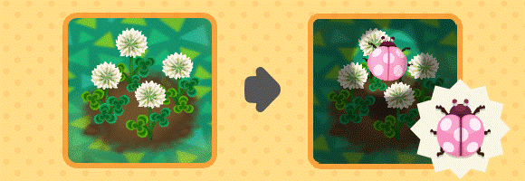 20180227 News 02 Image 01.png