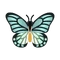 Insect zarumokuageha