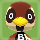Sparro Picture
