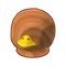 Beak