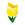 Yellow Tulips.png