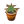 Aloe