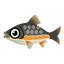 Fish 348002.png