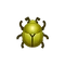 Insect Plakoga