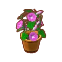 Int gar02 flower3 cmps