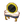 Full-Moon Vanity
