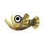 Freshwater Goby.png