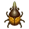 Insect helkbt