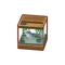 Int 2110 fishtankr2 cmps
