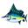 Fish kajiki
