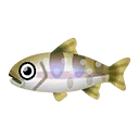 Fish ooiwana