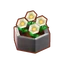 Int 2370 flower1 cmps