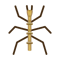 Insect nana