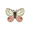 Insect SukashiR
