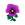 Purple Pansies.png