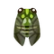 Insect Minmin