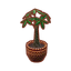 Furniture Pachira.png