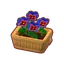 Furniture Potted Red-Blue Pansies