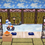 Winter on the Veranda 2