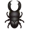 Insect Teiohirata
