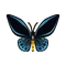 Insect Aomeganeageha