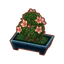 Int bon azalea.png