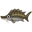 Fish chouzame