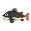 Fish redtail.png