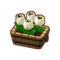 Furniture Potted White Tulips.png