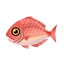 Fish fst1002