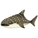 Whale Shark