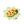 Gift cnt01