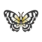 Insect Ohgomamadara