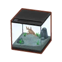 Int fst02 fishtank1 cmps