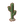 Desert Cactus