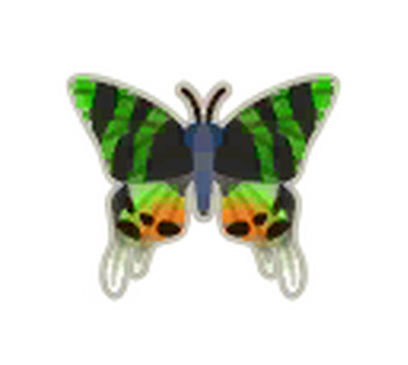 Madagascan sunset store moth acnh