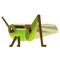 Insect Inago