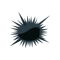 Fg uni