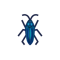 Insect Aokometuki