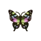 Insect Miirotaimai
