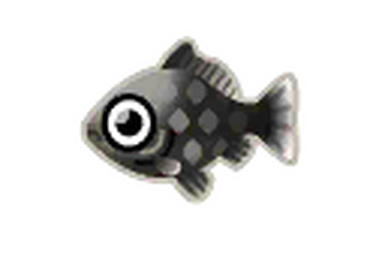 Black wakin goldfish discount
