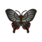 Insect JakouAgeha